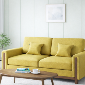 Mishu 2 Seater Sofa
